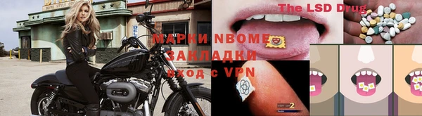 ECSTASY Семикаракорск