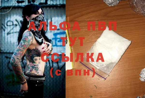 ECSTASY Семикаракорск