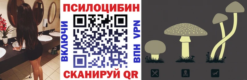 Купить  Югорск  Псилоцибиновые грибы GOLDEN TEACHER 